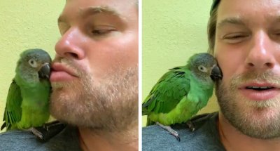 Nada mais belo do que um amor correspondido