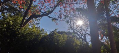 Massa de ar seco garante mais um dia de sol com temperatura mxima de 34C