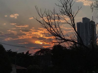 Foto: Nilson Junior