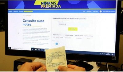 Contribuinte consulta nmeros pela internet (Foto: Divulgao)