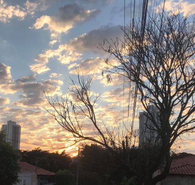 Foto: Nilson Junior