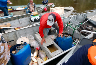 Pescados foram retirados de forma irregular.  permitido apenas um exemplar de peixe nativo (Divulgao)