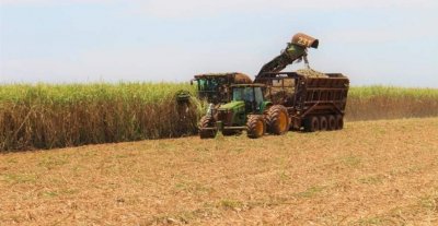 Maquinrio durante a colheita em canavial de MS (Foto: Divulgao)